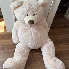 コストコのクマのぬいぐるみ
