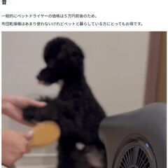 【配送可】abien1台7役超薄型コンパクト布団乾燥機 暖房 送風 ペットドライヤー乾燥機 ダニ退治温冷風機衣類靴乾燥ハイパワー犬猫も嫌がらないハンズフリー 新品未開封品の画像