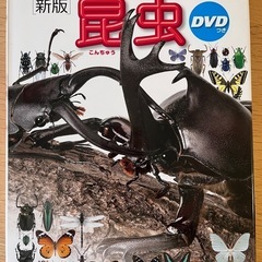 小学館の図鑑NEO 「昆虫」