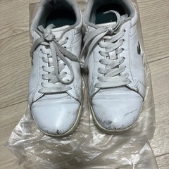 ラコステ　Lacoste スニーカー　24cm の画像