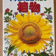 小学館の図鑑NEO 「植物」