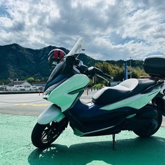 フォルツァ250   ETC付き の画像