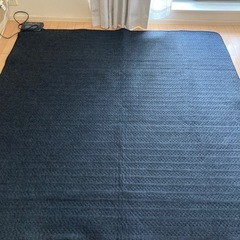 無印良品ホットカーペットの画像