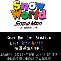 ★値下げしました★Snow Man 1st Stadium Li...