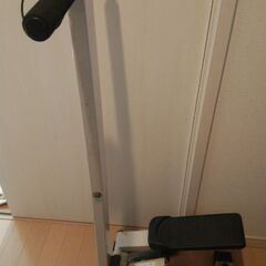 ウォーキングステッパー