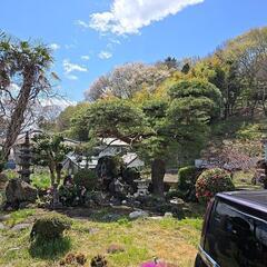 😀群馬リフォーム　庭木の剪定や巨木の伐採まで、お庭のお悩み…