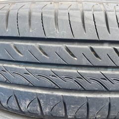 TOYO TIRES 175/70R14 23年製　夏タイヤ