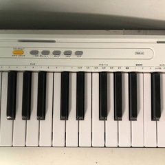 天)TORTE トルテ 電子キーボード TSDK-61 61鍵盤の画像