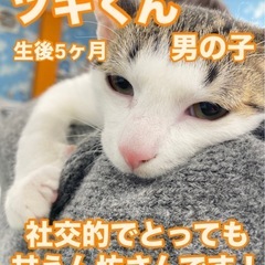 やんちゃな男の子