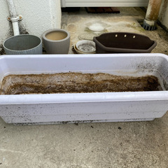 プランター、植木鉢、全て持って帰って下さる方限定