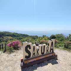 4/19（土）ゆる～い南知多桜公園ピクニックツーリング