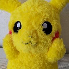 もふもふ ピカチュウの画像