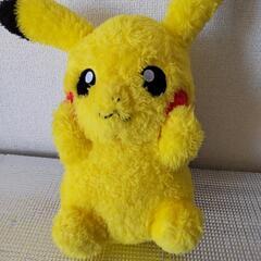 もふもふ ピカチュウ