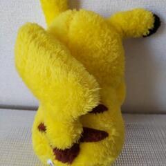 もふもふ ピカチュウの画像