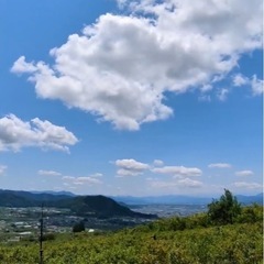 【急募】長野県山ノ内町・絶景！農園で収穫のお手伝いですの画像