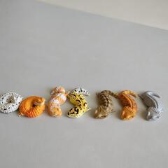 ガチャガチャ　レオパ・フトアゴ　おやすみシリーズ