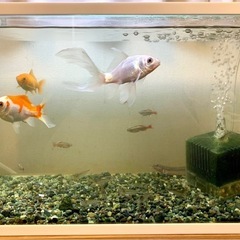 *引き渡し予定*の方がいらっしゃいますの画像