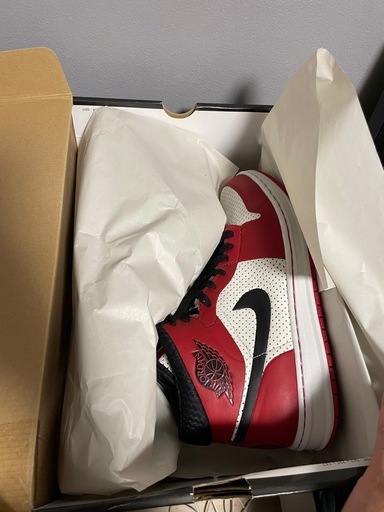 値引きかの可能希少品NIKE AIRJORDAN ALPHA1 シカゴカラー