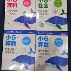 ニューコース　小学５年　小学６年