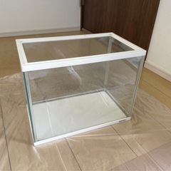 水槽の画像
