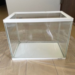 水槽の画像