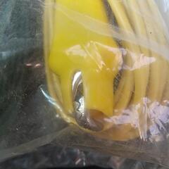 コード、電線・クリップ付の画像