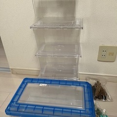 虫かご　差し上げます　