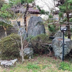 庭石