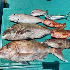 船釣り行きましょう！