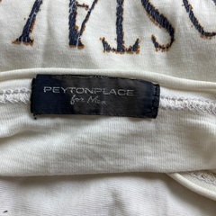 Tシャツ　PEYTONPLACE 古着の画像