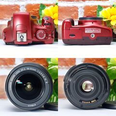 【全国送料無料】 Canon EOS Kiss X50✨ほぼ新品の極上品✨レンズセット ズームセット✨ 届いたらすぐに使えます✨ キヤノン キャノンの画像