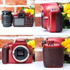 【全国送料無料】 Canon EOS Kiss X50✨ほぼ新品の極上品✨レンズセット ズームセット✨ 届いたらすぐに使えます✨ キヤノン キャノンの画像