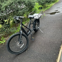 ８８サイクル　デイトナイエローの画像