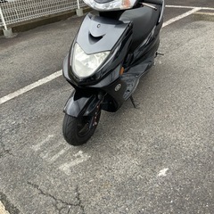 ヤマハ シグナスの画像