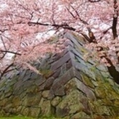 映えるスポット満載⁉︎歴史×フォトジェニック？な旅へ  4/30...