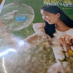 （中古EPレコード）草原の輝き−アグネス・チャン（3）