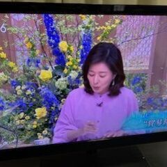 東芝REGZA 23V型S8 / 14年製　液晶カラーテレビ