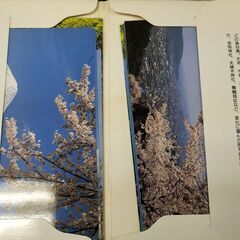 ポストカードセット　山梨の旅（昇仙峡・甲府・石和・富士山）　中古　有名スポットの画像