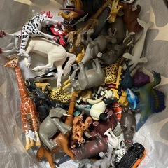 アニア　トミカ　50点以上の画像