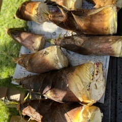 【新鮮柔らか】朝どれタケノコの画像