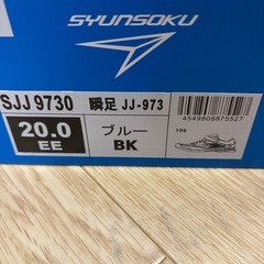 シュンソク　20cmの画像