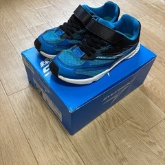 シュンソク　20cm