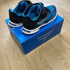 シュンソク　20cmの画像