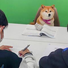 天才学習塾 35715の画像