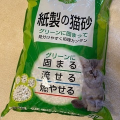 【引取り限定】猫砂7L　流せる、固まる、燃やせる