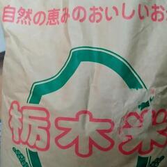 古米