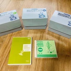 英語教育　ペッピーキッズ　知育教材