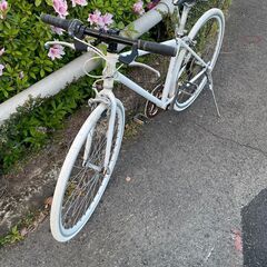 リサイクルショップどりーむ鹿大前店　No159 自転車　クロスバイク　真っ白　28インチ　ギア切替付きの画像