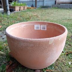 植木鉢大小さまざま