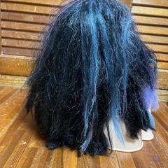 バービーデラックス黒髪の画像